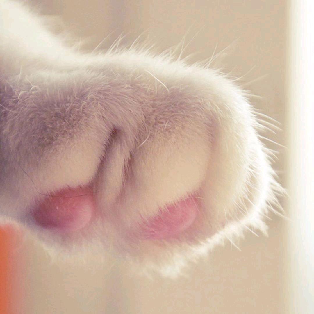 浮光再潋滟 淌不过流年