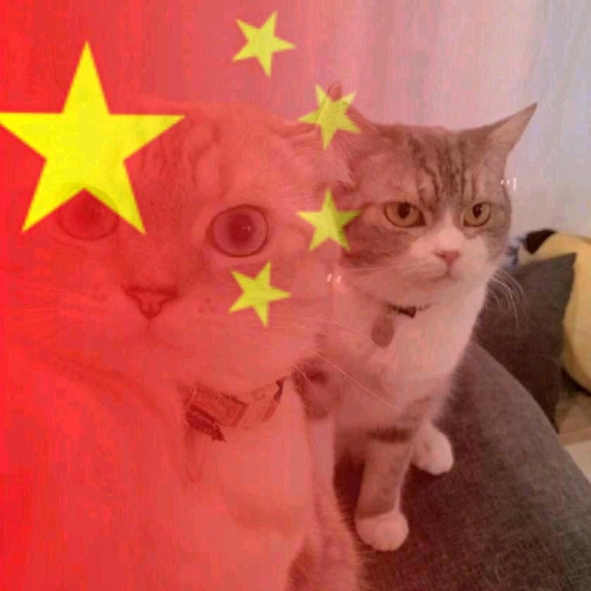 ＊人生苦短及时行乐＊