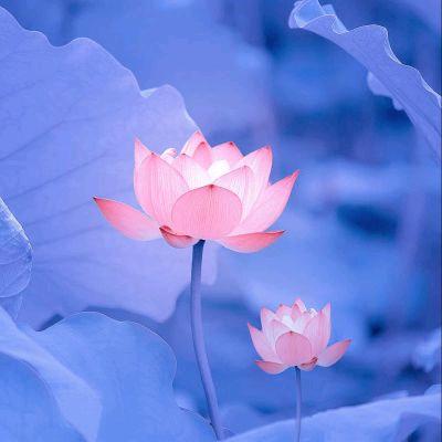 💕日进斗金ℒℴѵℯۣۖ¹³¹⁴
