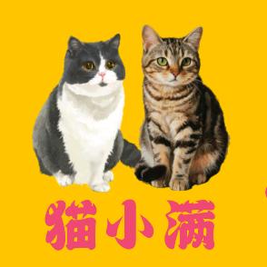 猫小满三元面包店
