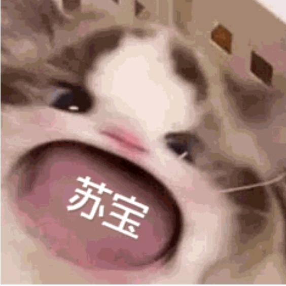 🫐👑苏宝陛下请上座🐾