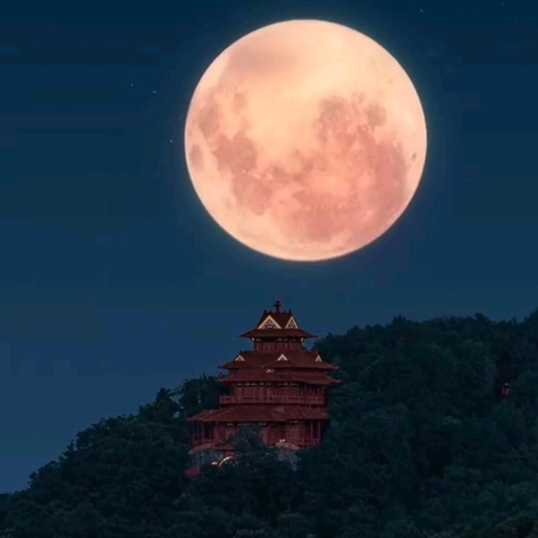 〆海棠依旧