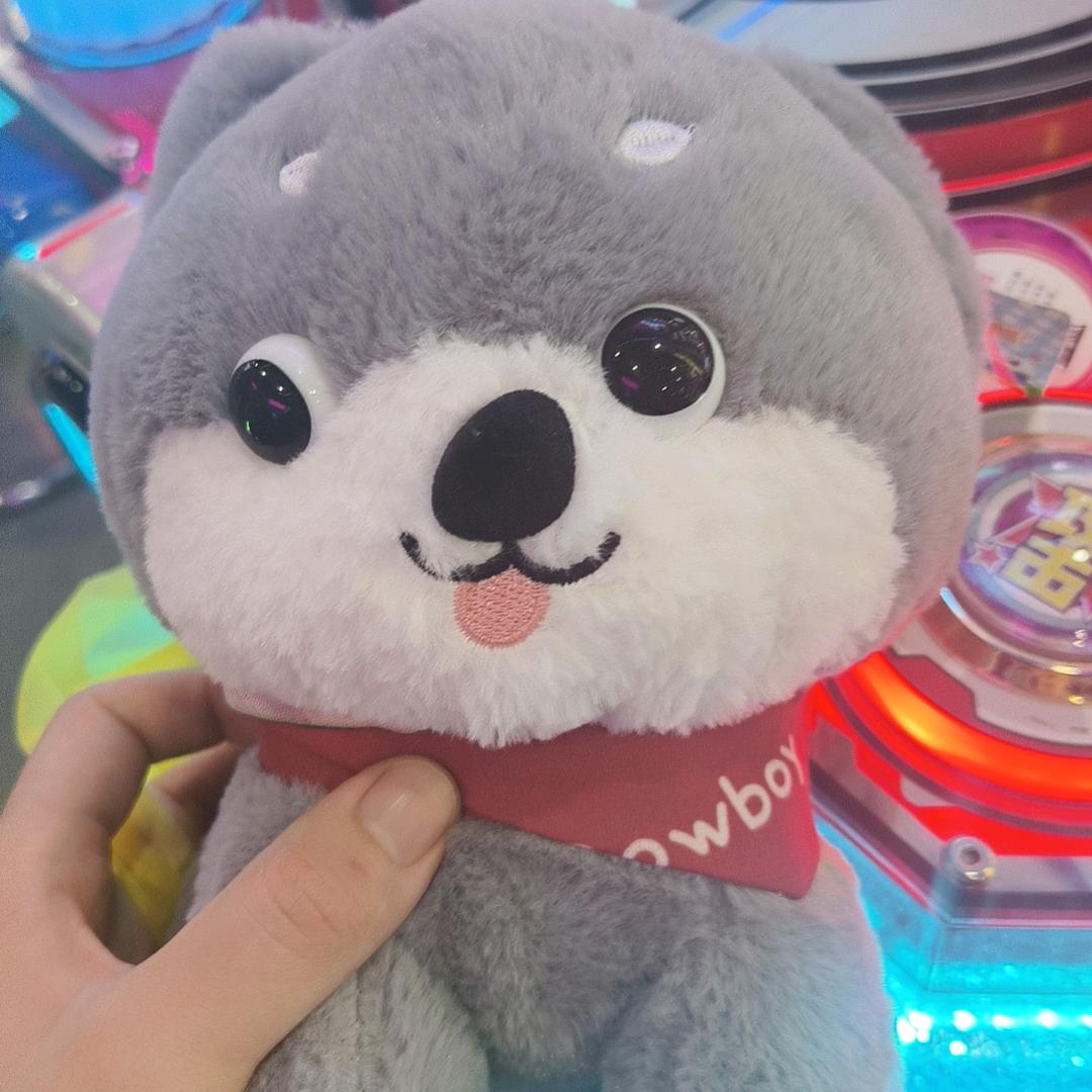 宁宁）