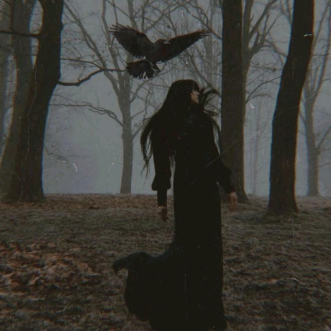 willow
