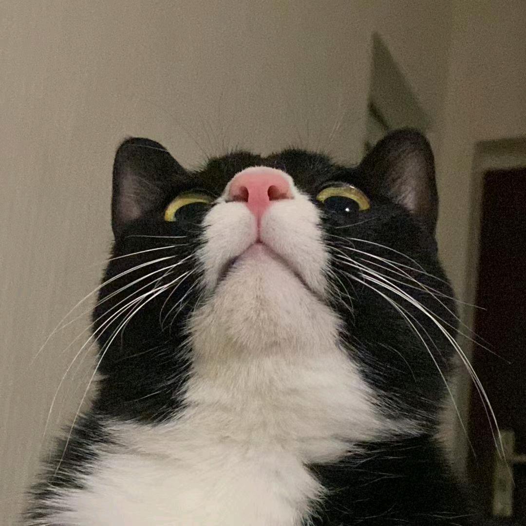 bigCJ