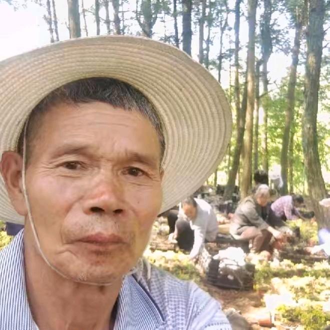 千里马车全开过