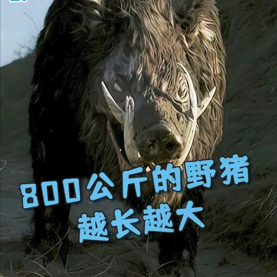 蓝天护农