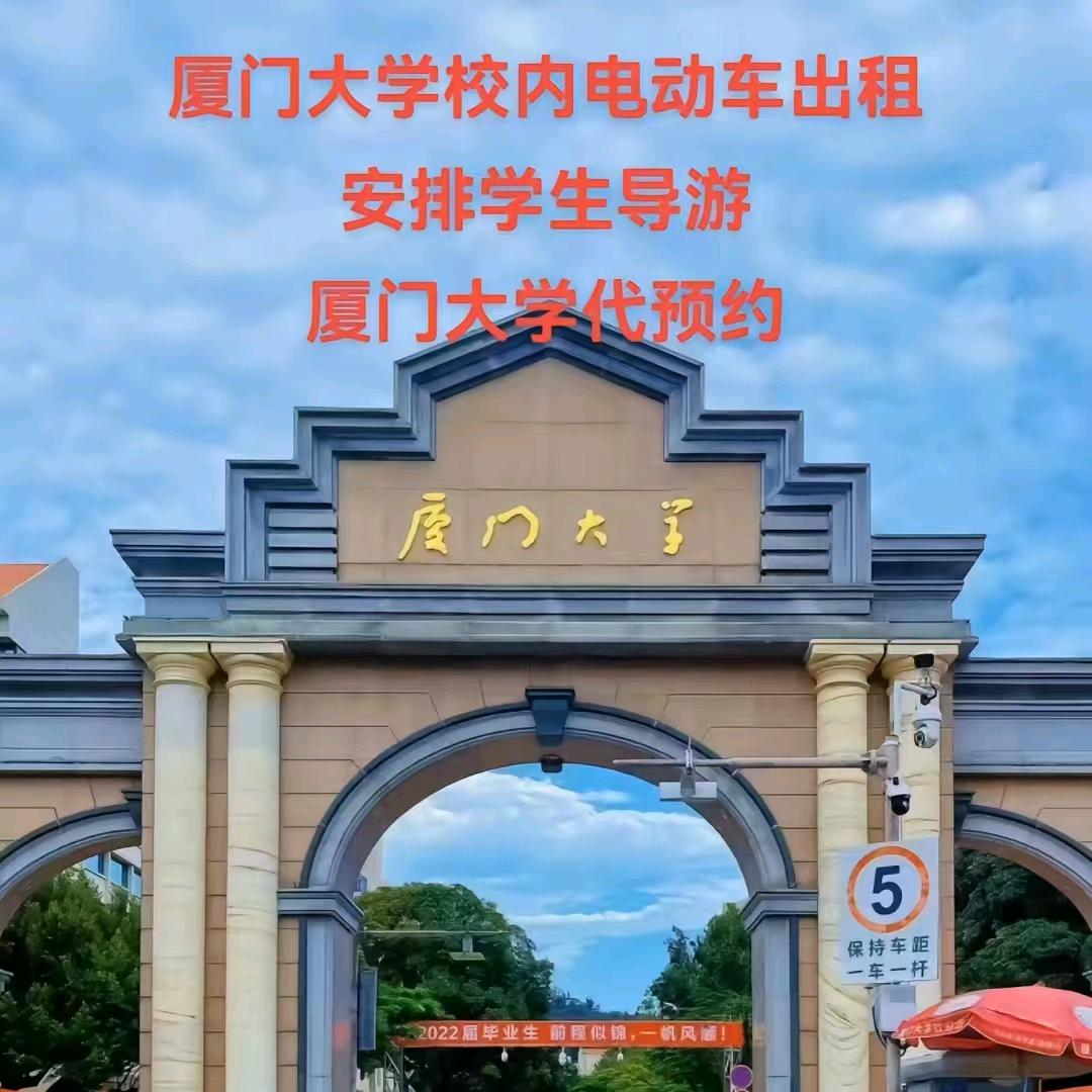随风去流浪