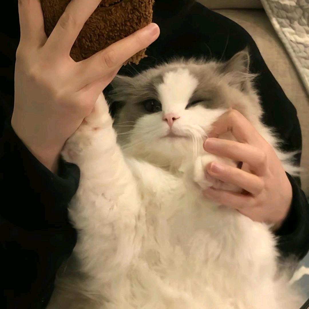 草怎么莓了