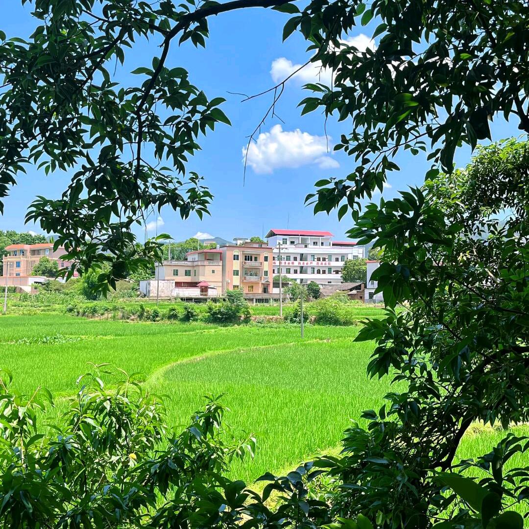 小媛媛
