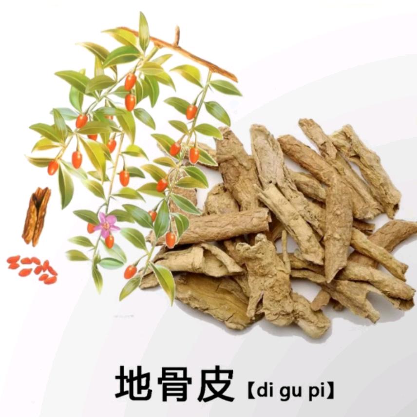 刘哥~户外虫草