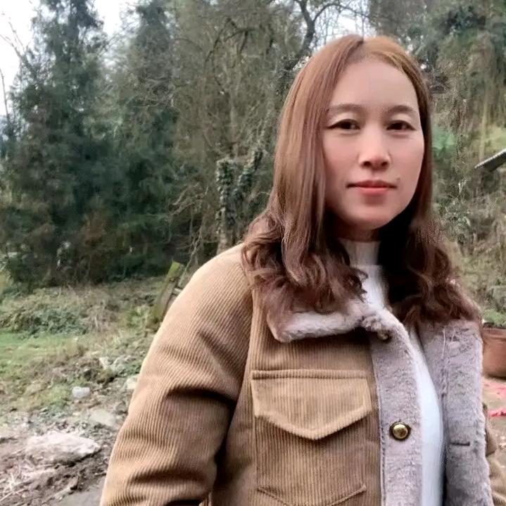菊香染流年