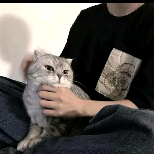 向僵尸开炮-漩涡阿泰