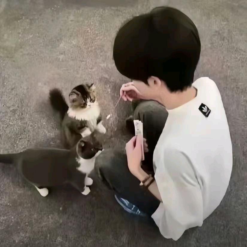 七月.🍼
