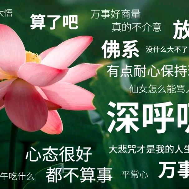 -hao同学