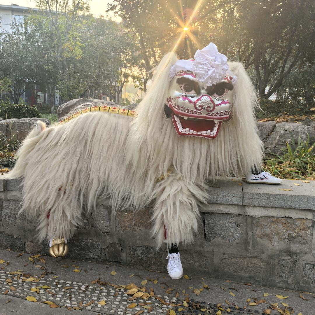 邯郸舞狮团