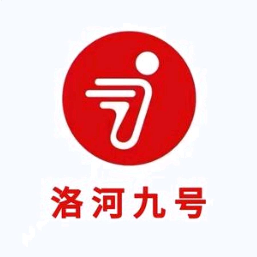 大通区洛河镇九号智能电动车