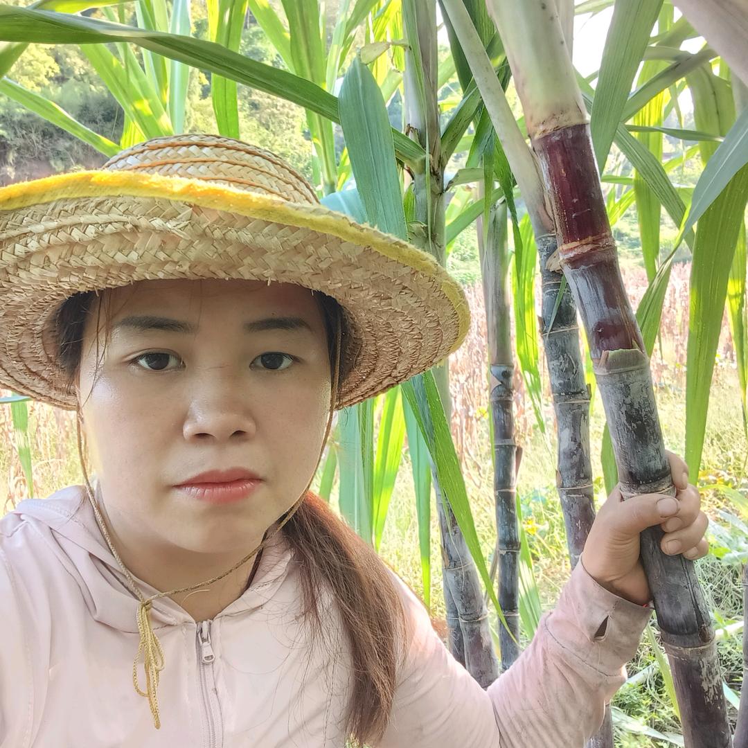 铜梁甘蔗妹