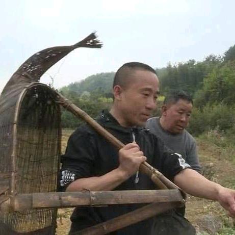 虾子哥