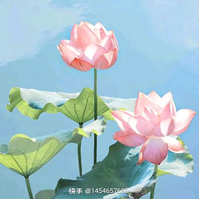 美丽人生(●'◡'●)