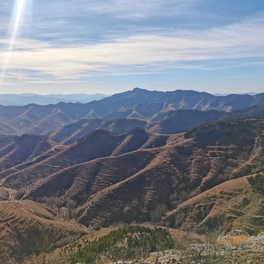 楼下黄金楼上人