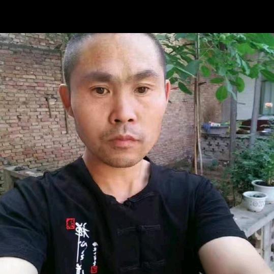 橄榄树🐇9988