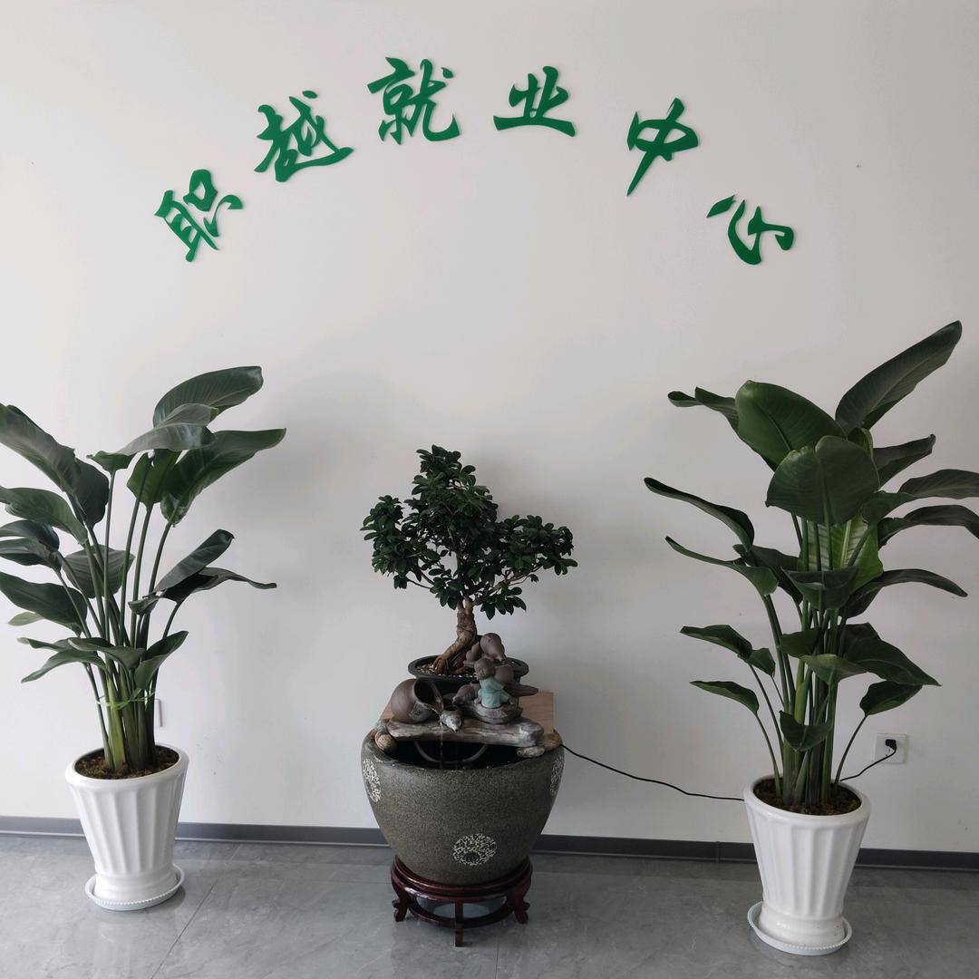 职越就业中心