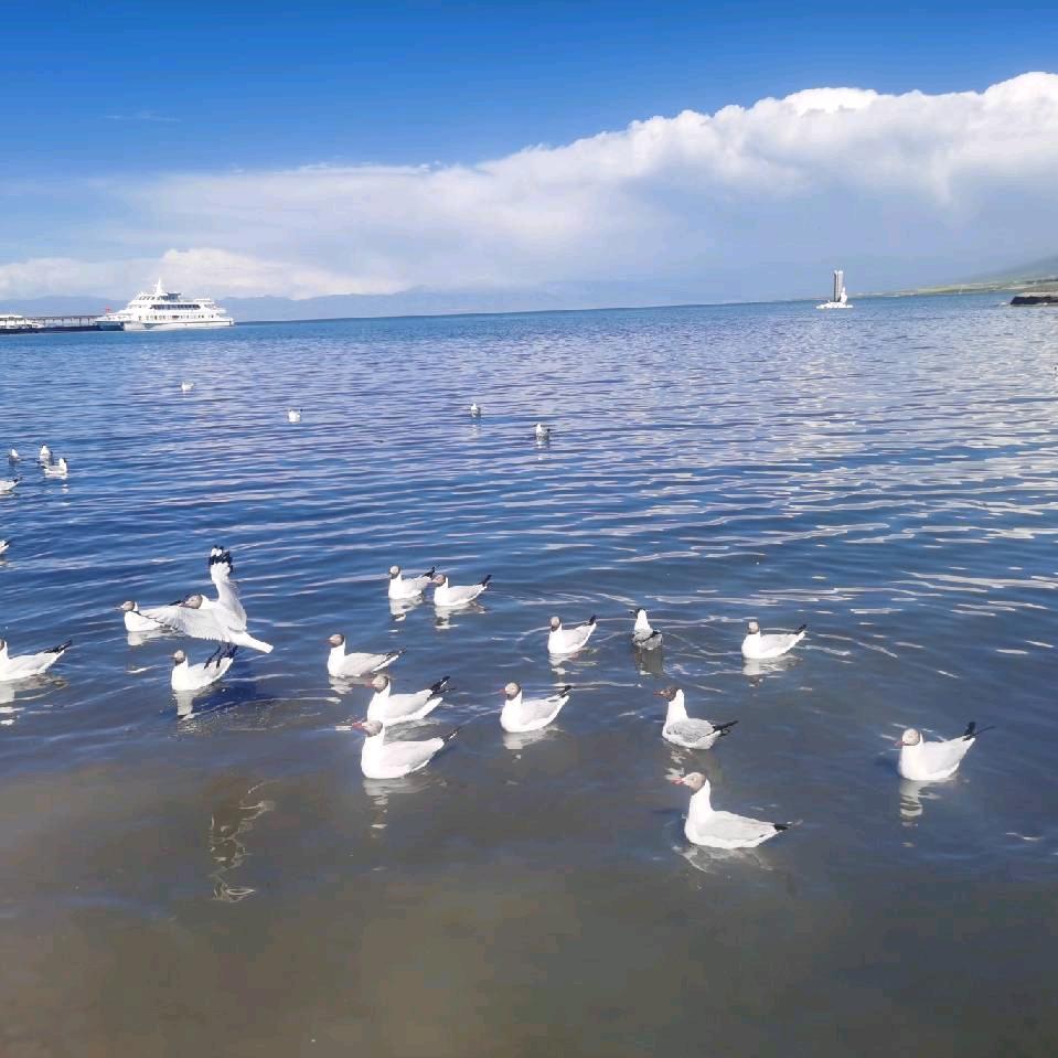 大海洋