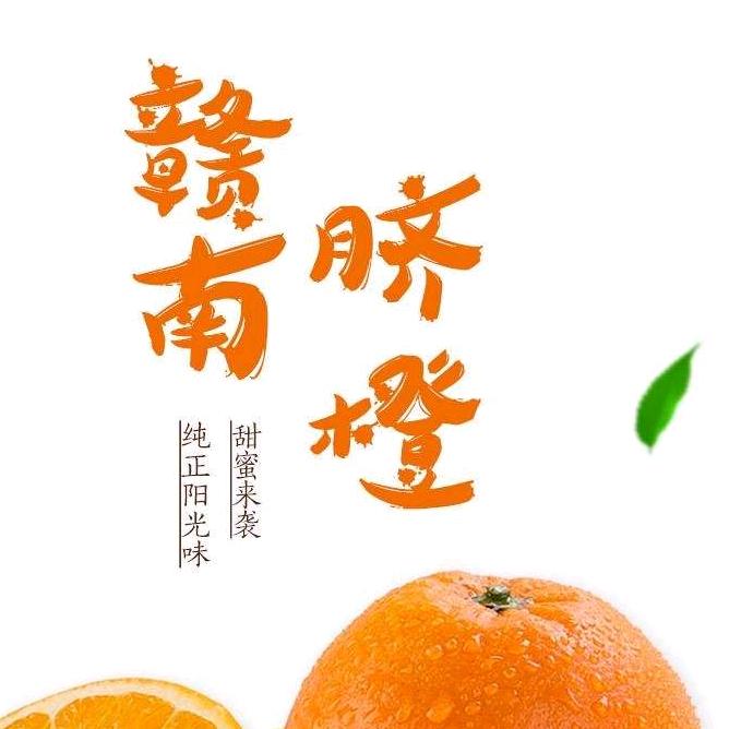 赣南信丰安西脐橙果园直卖
