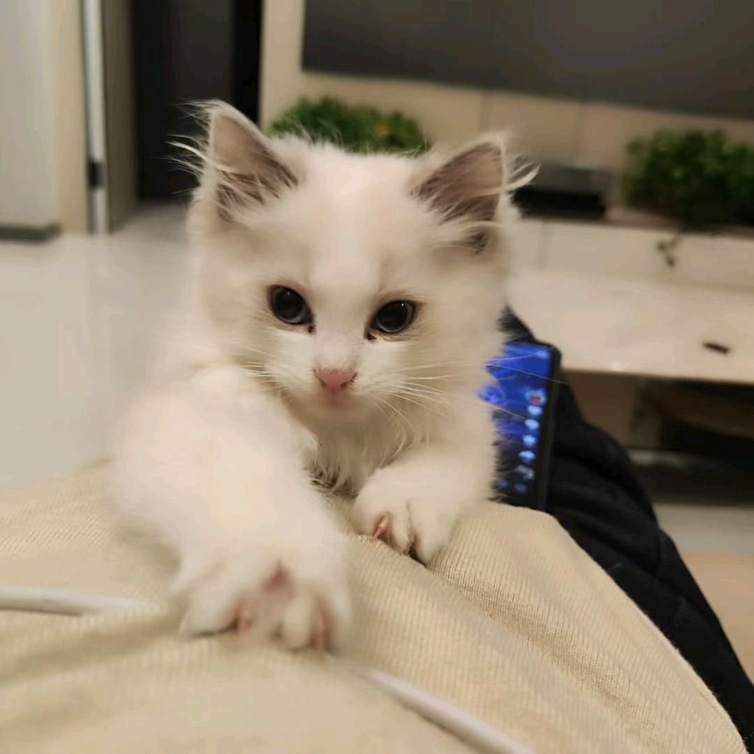 哦了解olejie84728