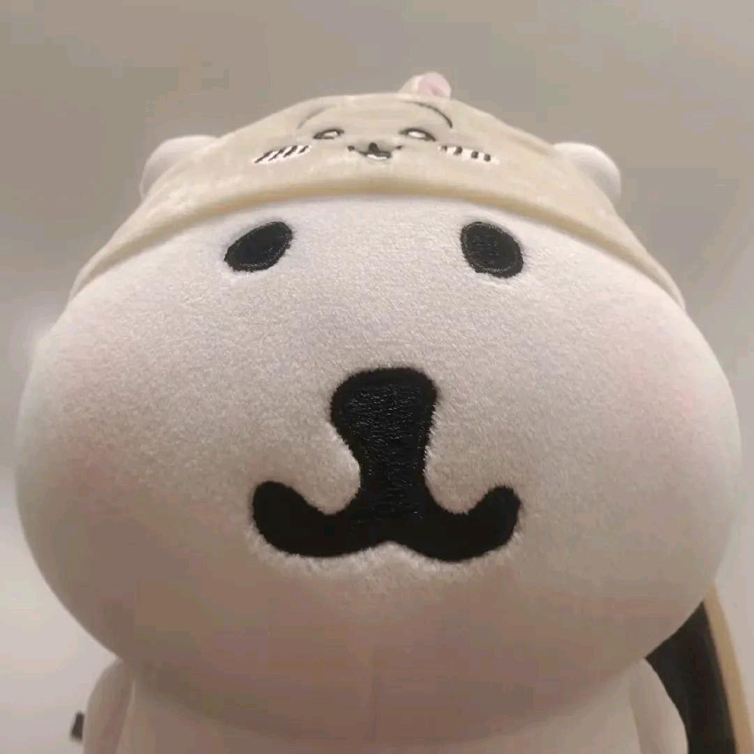 熊的朋友