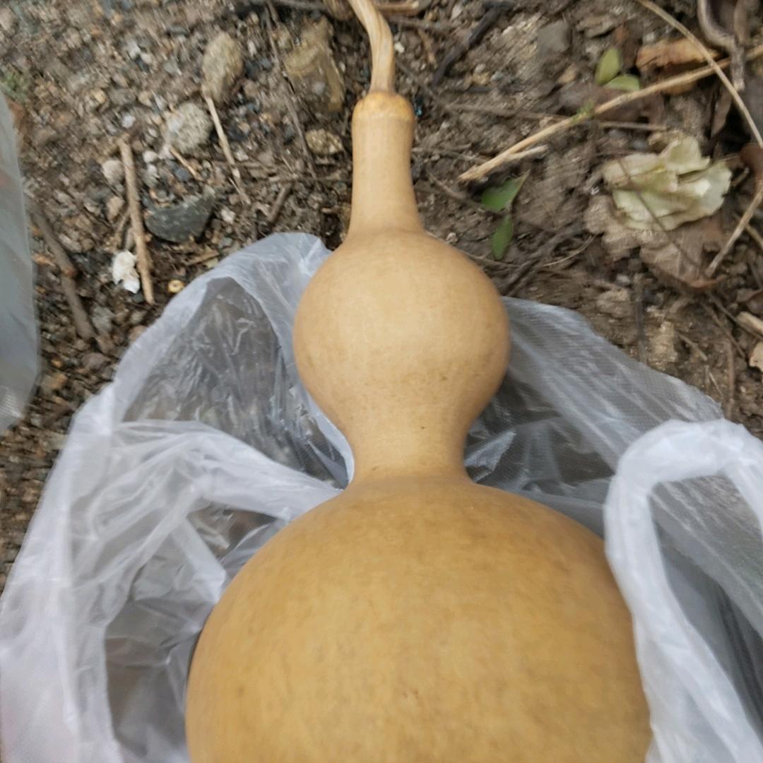 百年戏台，东河涯头，六大院。