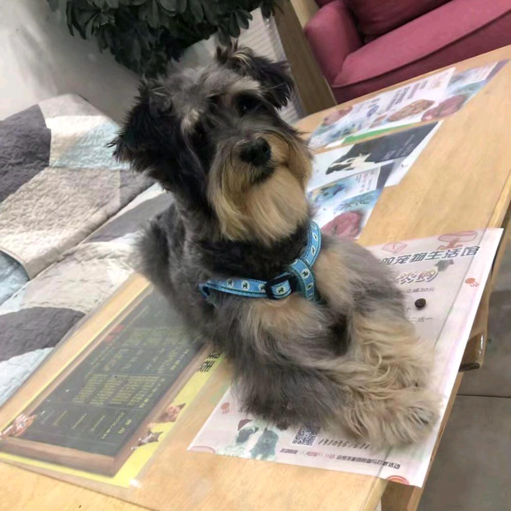 魔旋弹 哒哒哒 轰