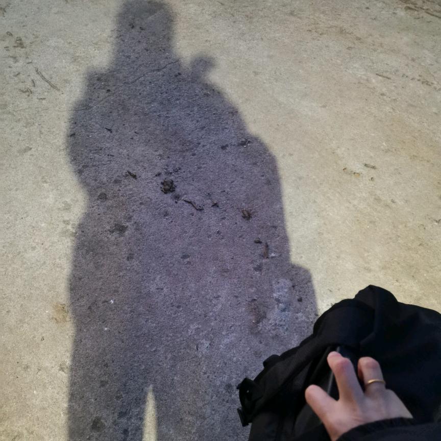多财多亿～Ꮤ~发财🤑