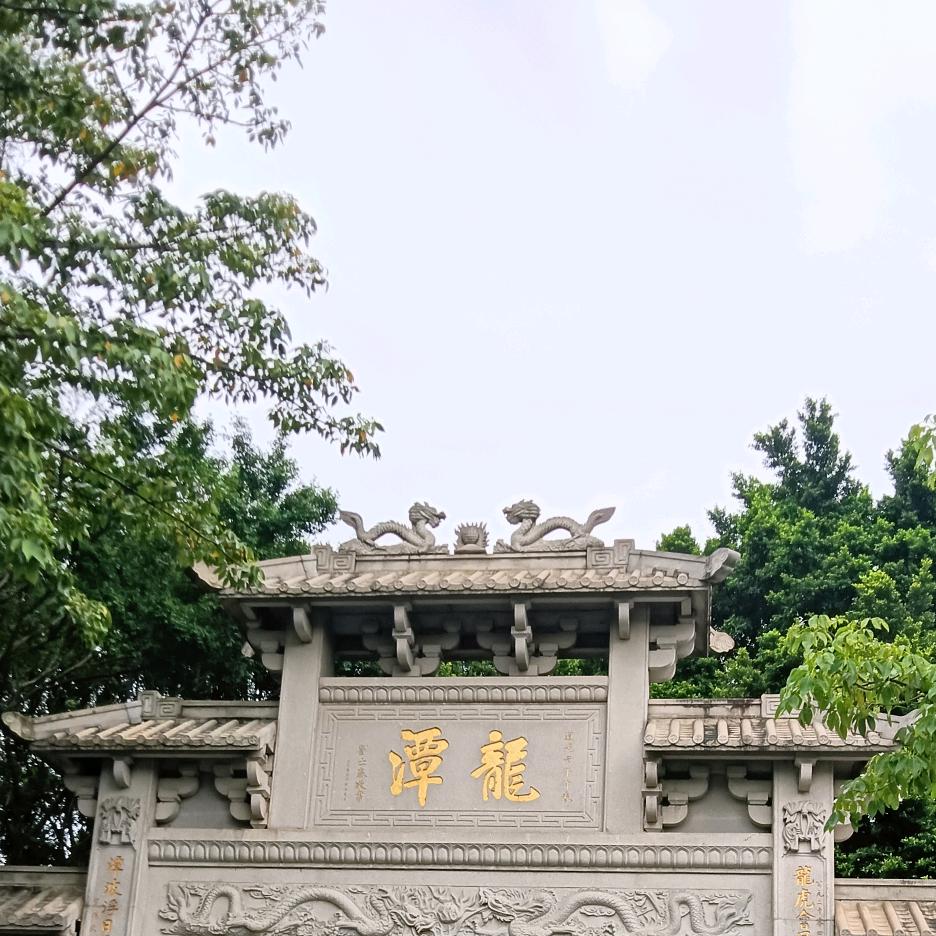 等风等雨不敢等你