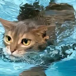 漛燭