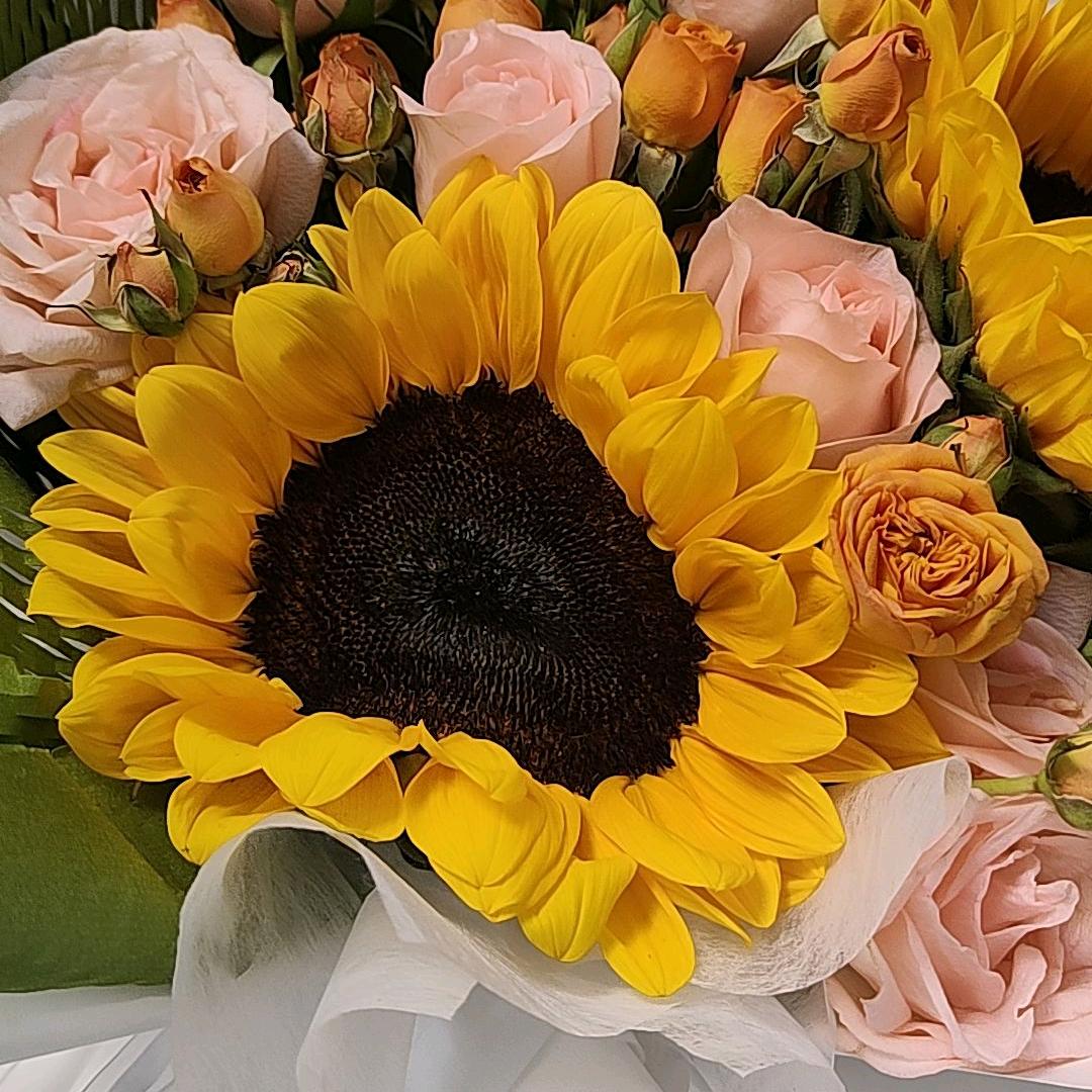 月亮岛🧚🏻‍♀️