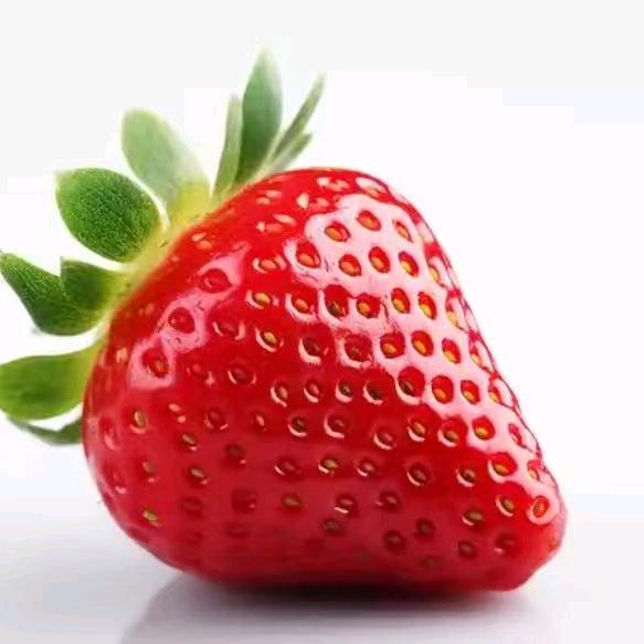 🍓小曾哥🍓