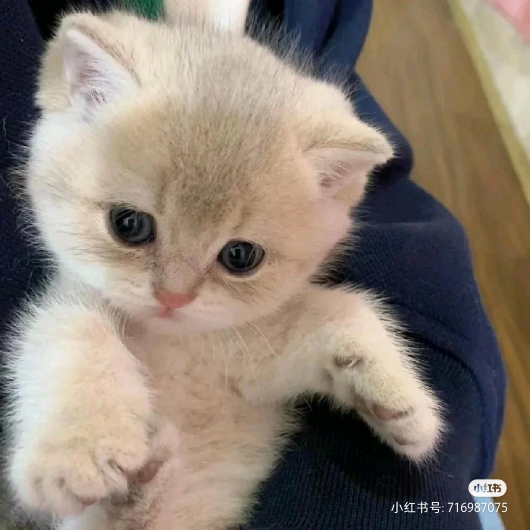 Want to talk