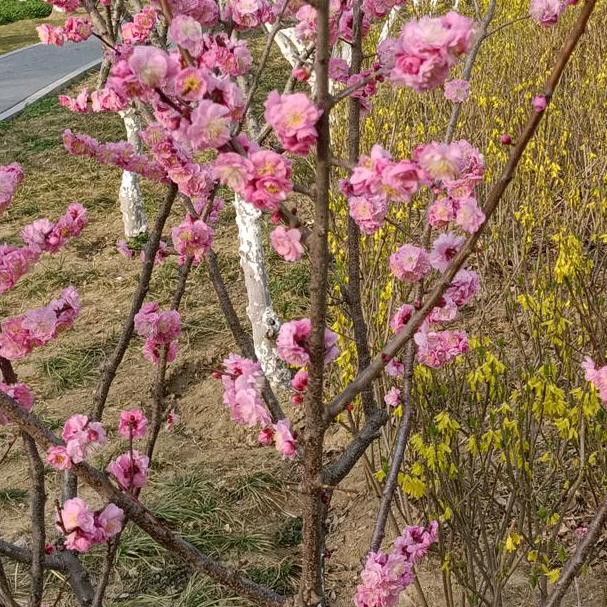 我只想一个人静静❤️💝💘