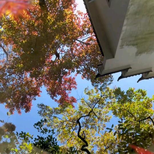 老曹说事