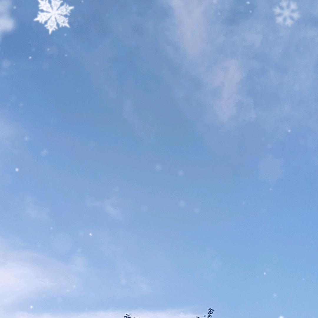 阳光明媚...