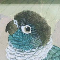 藤椒麻薯（禁止搬运）