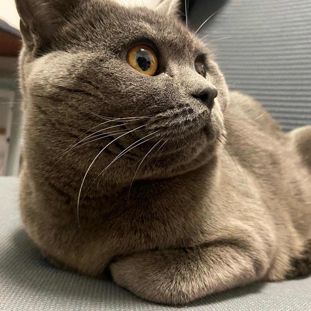 我真的太想瘦了