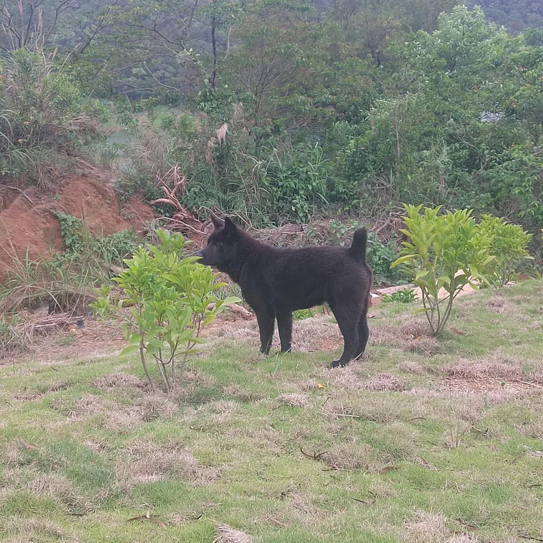 任我潮🧛‍♂️