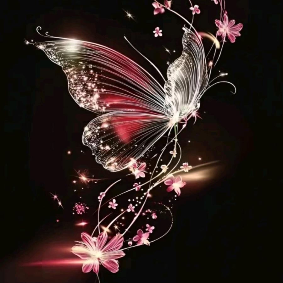 🐉洪✨️英💞⁶²⁷