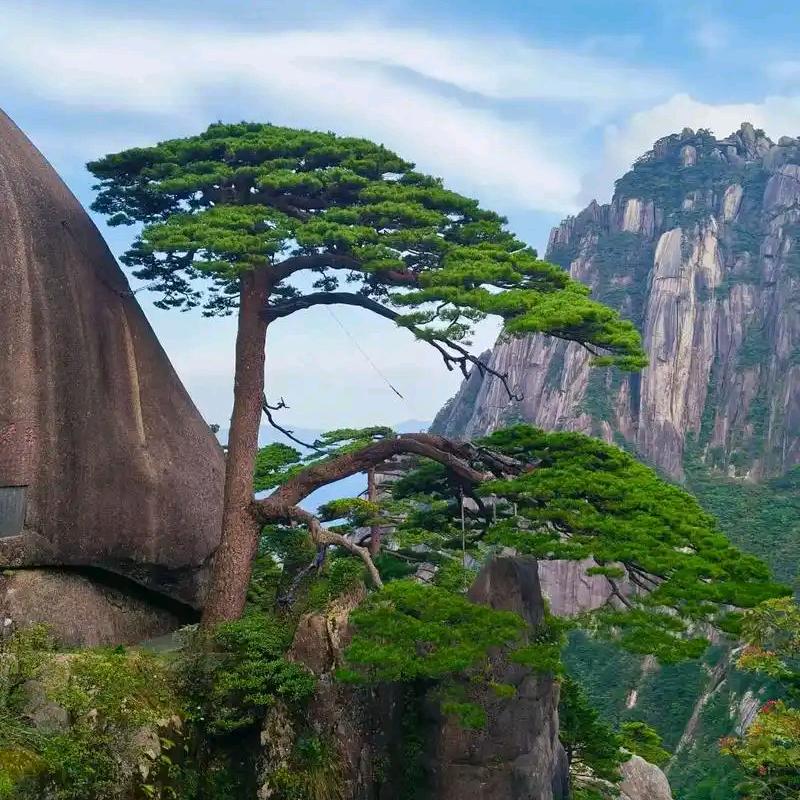 坚持自我