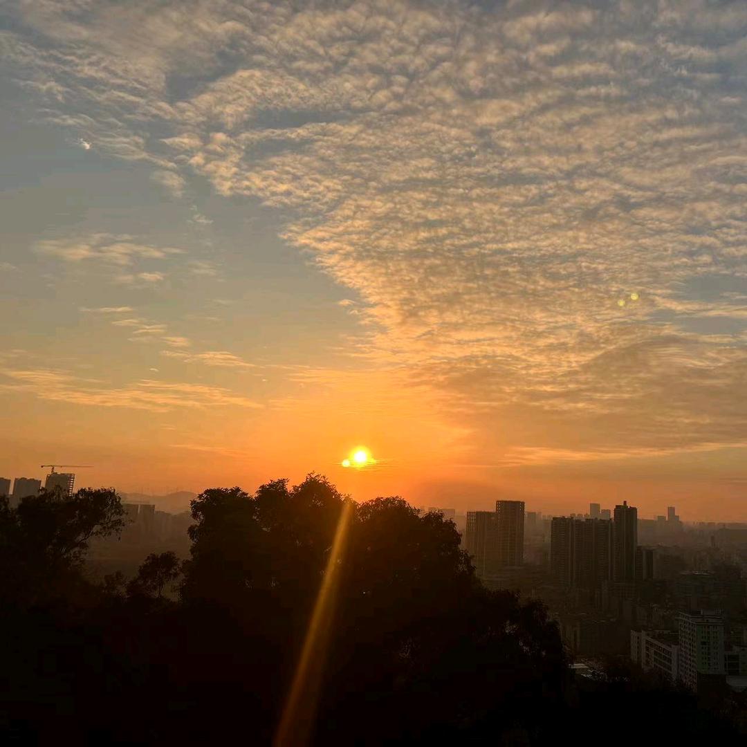 期待明天