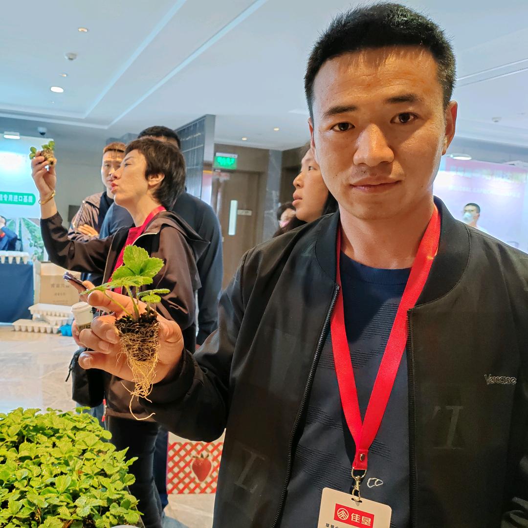 礼拜天（滇药材）