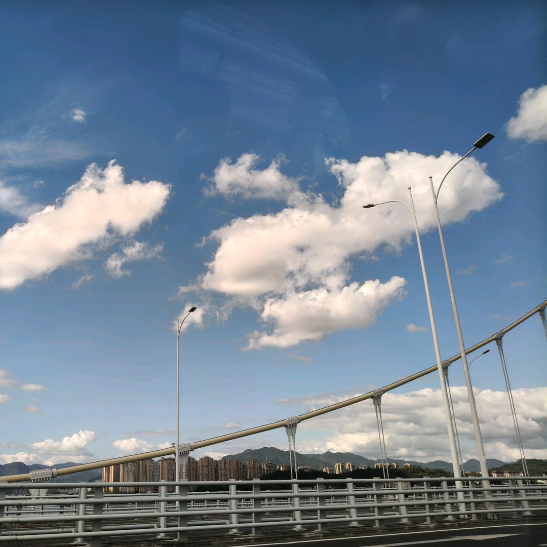 陈老师为民服务